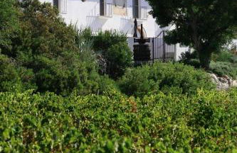 Villa Masia Capdet - Photo 7