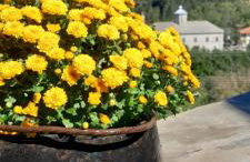 Point of view 1 - Photo 6