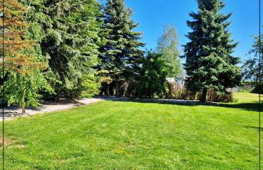 Miętówka - Foto 26