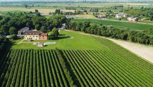 Agriturismo Ae Cavane - Foto 4, Garden view