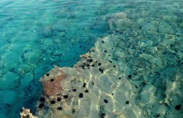 Apartment Dora 1 Jakišnica - Foto 8