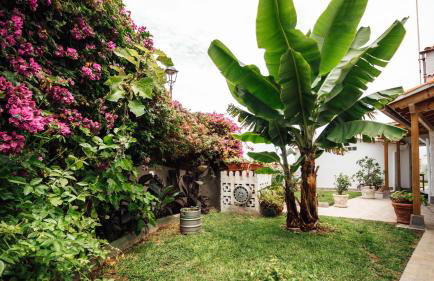 Casa Tulipanes & Spa - Photo 15