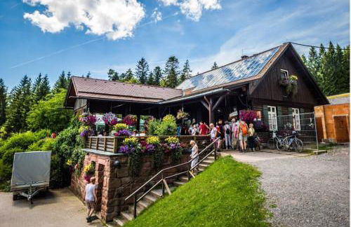 Ferienwohnung am Enzufer mit Wintergarten Bad Wildbad im Schwarzwald - Foto 37