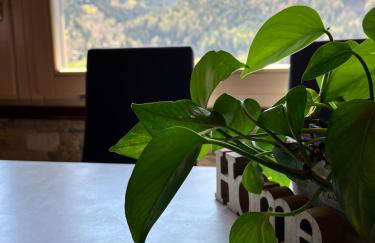 Residenze Vezza - Home sweet home- - Foto 31