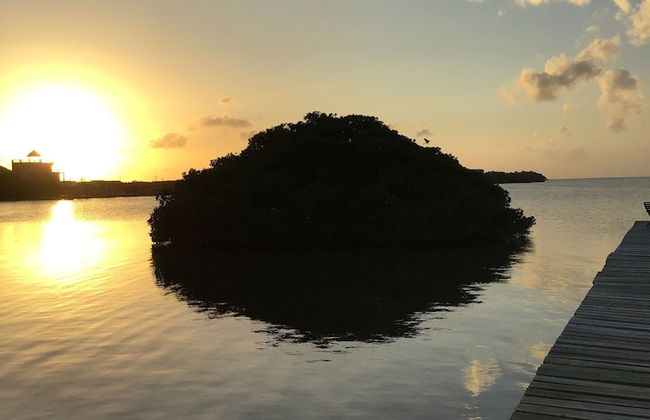 Blue Bay Cottage - Foto 55