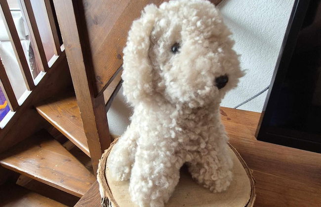 Chez Charles | Vallorcine Viachamonix - Photo 19