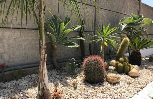 Scala dei Turchi The White Wall - Foto 31