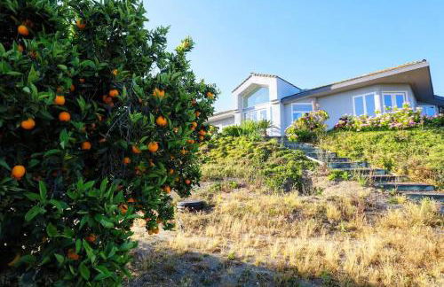 Luxury Modern Chateau near wineries & beaches - Foto 48