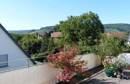 Eifelidylle am MoselMaareRadweg - Foto 10