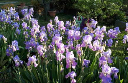 Casa di Giulia (Bambini gratis fino a 6 anni) - Foto 36