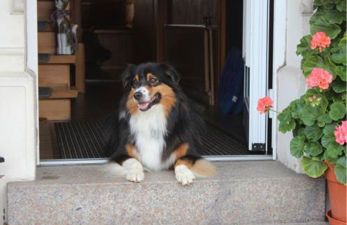 Ferienwohnung Haus Sutter - Foto 24