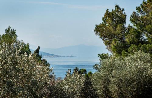 PYRGOS RALLI ESTATE Guesthouse - Foto 58