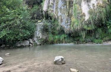 Olivae apartamento - Foto 10