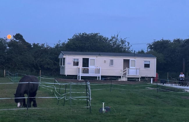 Equestrian Retreat - Sleeps 6 & Bbq - Foto 24