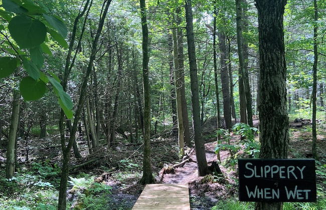 Pine Brae Eco-Resort - Photo 26