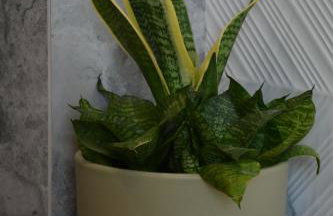 Apartament Jaskółki w Pilicach - Foto 23