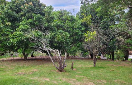 Casa aconchegante em lugar lindo e cheio de Paz - Foto 7