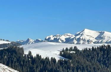 Maso Giulia - Foto 50