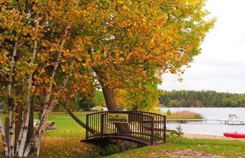 Oak at Pine Cone Lodge - 1 large bedroom - Foto 3