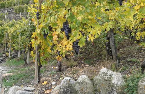 Casa Vacanze Roncaiola - Foto 49