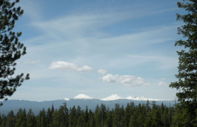 The Cozy Cabin LaPine - Foto 14