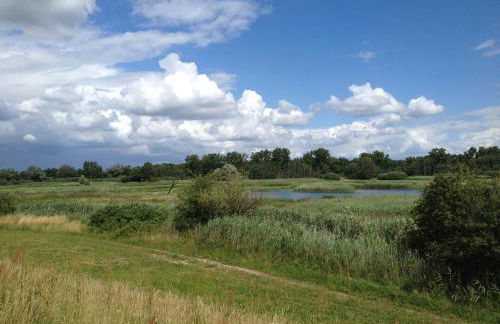 Historisches Haus Uhlenhorst - Foto 32