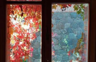 Apartment Wohnung in Haselberg mit Großem Garten by Interhome - Foto 10