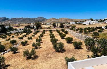 The Olive House - Photo 19