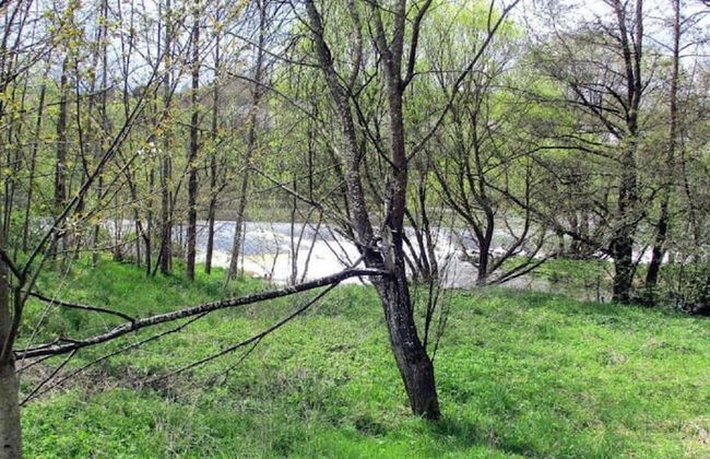 Ferienwohnung im Bayerischen Wald mit Terrasse - Photo 31