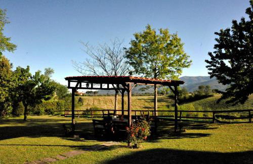 Agriturismo il Pino - Bioagricoltura - Photo 59