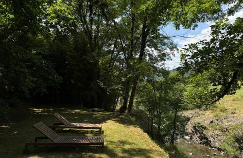 Les Cèdres - Foto 49