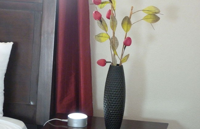 Taste of Paradise - Foto 40