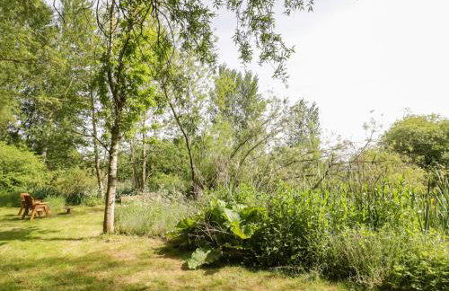 Kingfisher - Foto 21