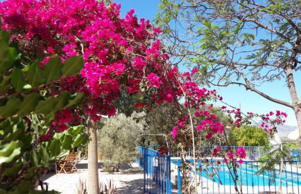 Casa Rural Mi Campo - Foto 9