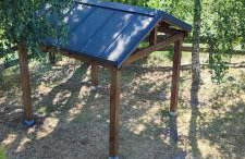 Pod Brzozami - Foto 48