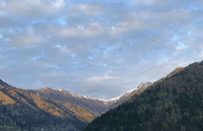 Leyli Comfort - Foto 11