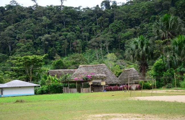 Excursion à la Réserve Hola Vida - Photo 8