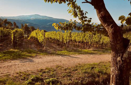 Tenuta San Vito In Fior Di Selva - Foto 125