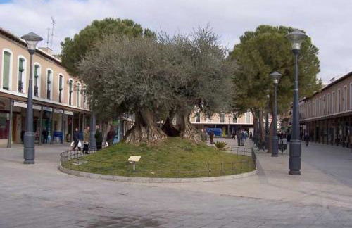 Vivienda La Manola - Foto 10