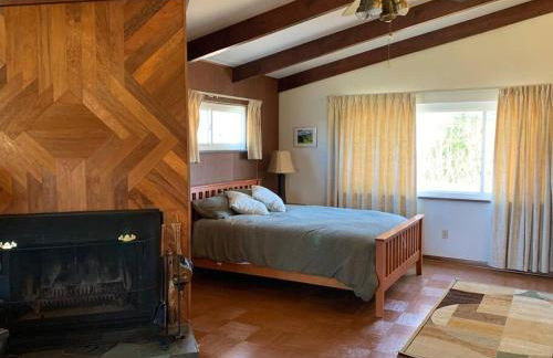 Hidden Treasure - Foto 23