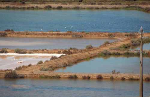 Ricardo Rolão Vista Mar - Edifício Oásis - Bedrooms - Foto 41
