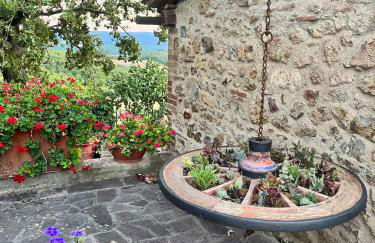 Pulcianese - Foto 20