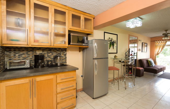 New Kingston C A Guest Apartments I - Foto 13