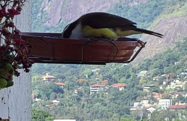 Apto Barra da Tijuca Frente pro Mar - Foto 74