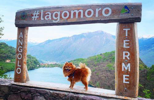 Casa Vacanze La CASA DEL SOLE - Foto 51