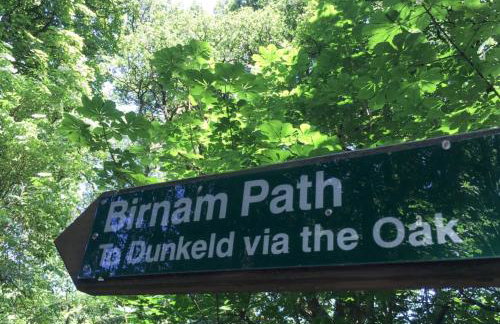 River house - Foto 50