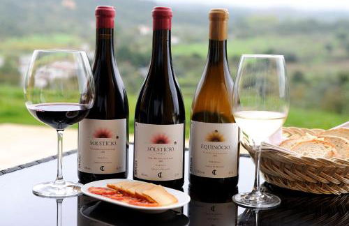 Cabeças do Reguengo - Foto 35