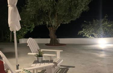 Monte do Pereiro - Foto 69