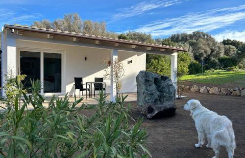 LA PIANA Holiday House - Foto 4