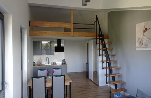 Apartamenty Kasztanowa Zator - Foto 56